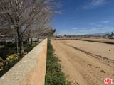 4026 Kona Court - Photo 40