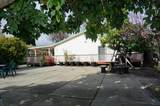35037 Begonia Street - Photo 31