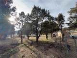1820 Golden Rod - Photo 17