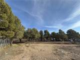 1820 Golden Rod - Photo 18