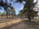 1820 Golden Rod - Photo 22