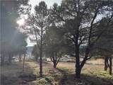 1820 Golden Rod - Photo 24