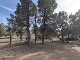 1820 Golden Rod - Photo 25