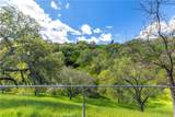 11127 Cebada Road - Photo 54