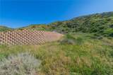 28741 Williams Canyon Rd. - Photo 16