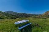 28741 Williams Canyon Rd. - Photo 21