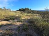 1007 Roan Way - Photo 1