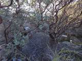 1007 Roan Way - Photo 5