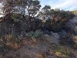 1007 Roan Way - Photo 8