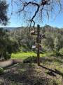 5935 Aluffo - Photo 14