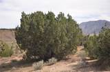 0 Longview & Old Homestead - Photo 12