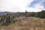 0 Longview & Old Homestead - Photo 25