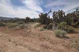 0 Longview & Old Homestead - Photo 5