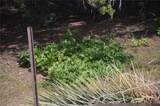 0 Longview & Old Homestead - Photo 60
