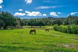 1825 Hi Mountain - Photo 3