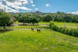 1825 Hi Mountain - Photo 44