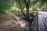 1825 Hi Mountain - Photo 48
