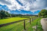 1825 Hi Mountain - Photo 51