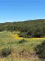 0 Sage & Red Mountain Road - Photo 1