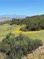 0 Sage & Red Mountain Road - Photo 13