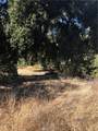 0 Red Mountain Road - Photo 9