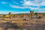 57575 Campanula Street - Photo 11