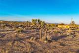 57575 Campanula Street - Photo 13