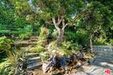 11508 Thurston Circle - Photo 43