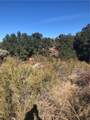 0 Red Mountain Road - Photo 11