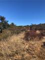 0 Red Mountain Road - Photo 14