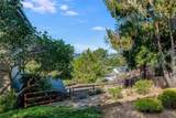 3171 Rogers Drive - Photo 57