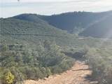 21 Argyle Road - Photo 18