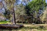 1935 Spencer Street - Photo 45