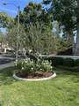 45233 Camino Monzon - Photo 34