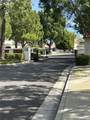45233 Camino Monzon - Photo 35