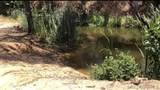  Lilac Road - Photo 11