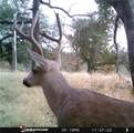 0 Tres Vista - Photo 10