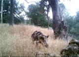 0 Tres Vista - Photo 11