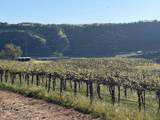  Airline Highway - Photo 4