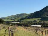  Airline Highway - Photo 7