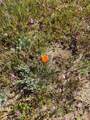 0 Lebec Road - Photo 3