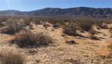 48364 Saddle Rock Way - Photo 9