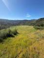 109 Trampa Canyon Road - Photo 18