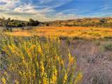 0 Highway 79 - Photo 49