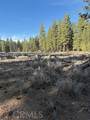 34557 Polique Canyon - Photo 4