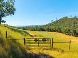 0 Nacimiento Shores - Photo 3