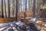 41941 Evergreen Drive - Photo 15
