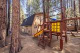 41941 Evergreen Drive - Photo 19