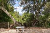13305 Santa Ana - Photo 43