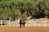 14855 Middle Ranch Road - Photo 58
